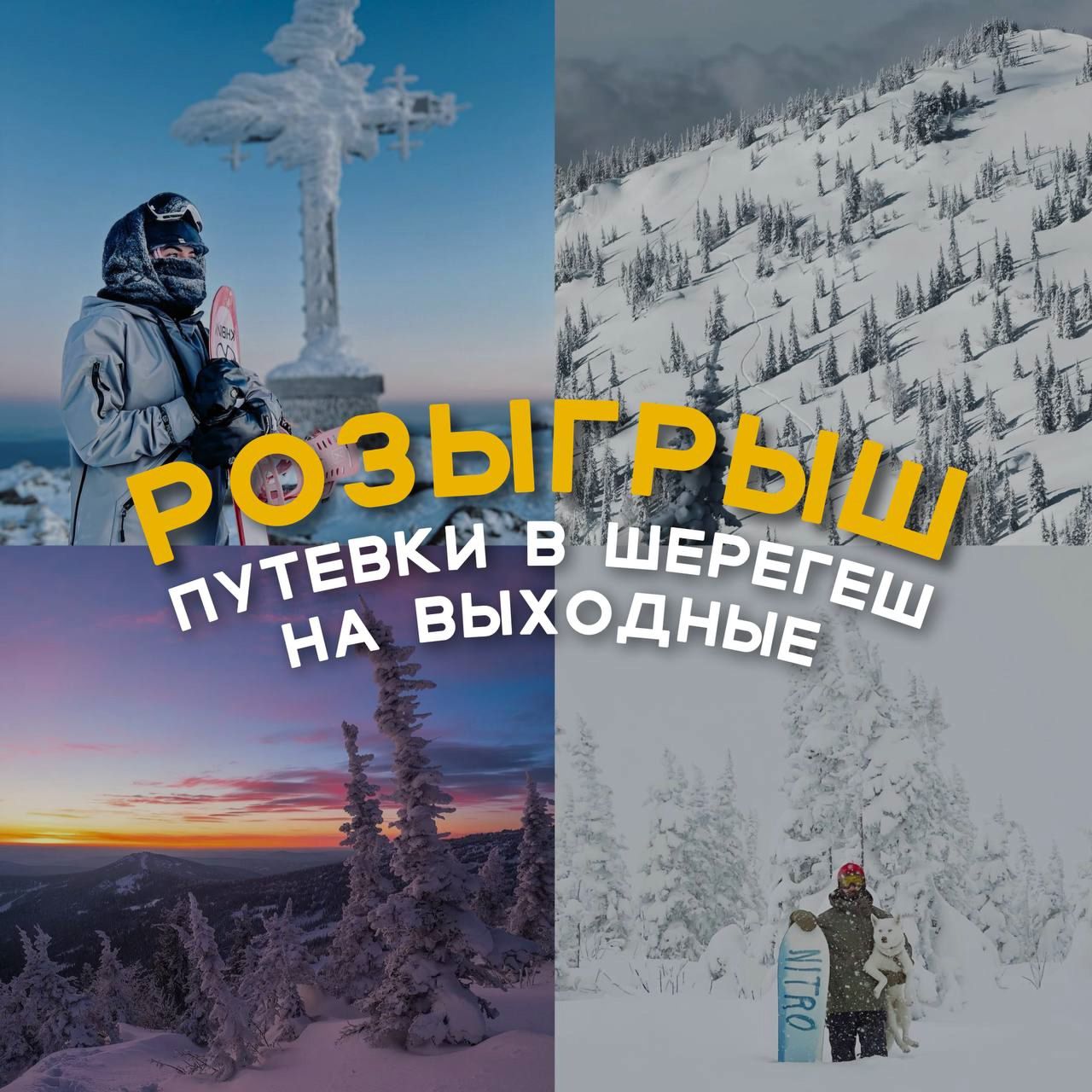 IMG 20241108 WA0006